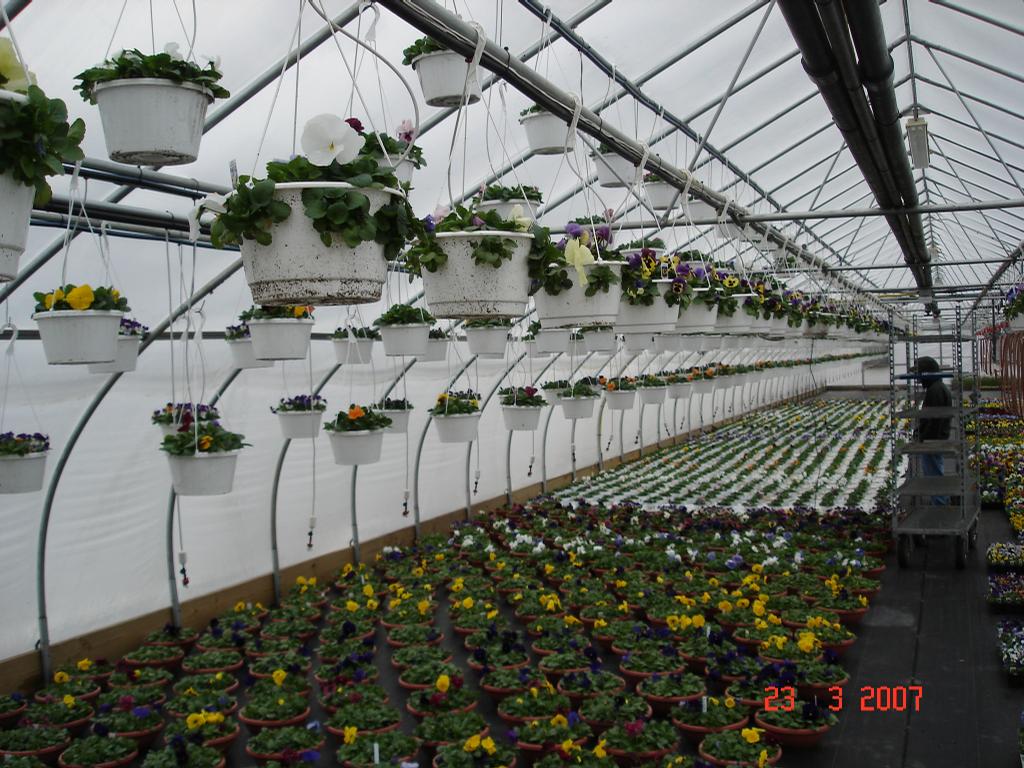 Riverside Greenhouses LLC Andover NJ 07821 9088509200
